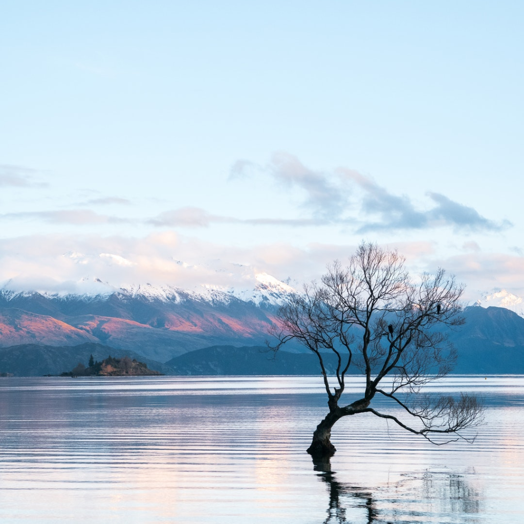Things to do in wanaka with family